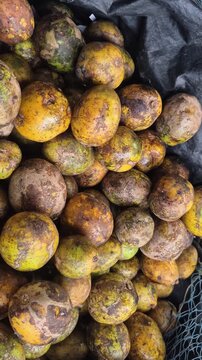 Video of fresh ripe Hog plum