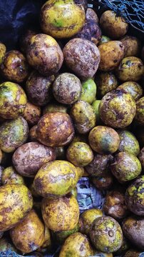 Video of fresh ripe Hog plum