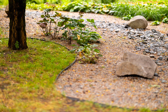A rain garden pathway featuring lush Ligularia and Hosta plants, rough tree bark, smooth stones, and a textured gravel path next to vibrant green grass, bathed in soft, natural light