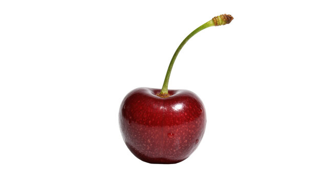 Single ripe dark red cherry with green stem isolated on transparent background