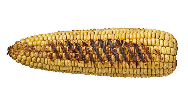 Grilled yellow corn cob with charred kernels