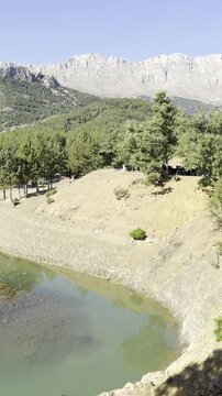 Morning Feeding Time: Goat Herd Grazing by the Peaceful Lake