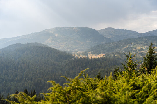 View of Belmeken mountain landscape with dense pine forests, rolling hills, and soft sunlight filtering through clouds in Pazardzhik, Bulgaria.