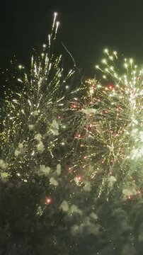 Vertical Fireworks Display Over City Square at Night