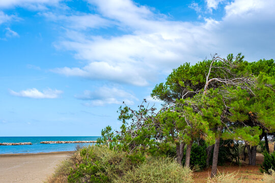Pineta Santa Filomena Vallelunga With Beach And Breakwaters
