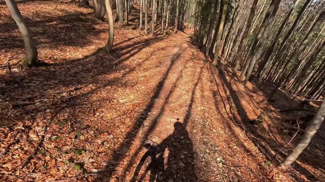POV Mountain Biking Downhill Through Autumn Forest with Long Shadows
