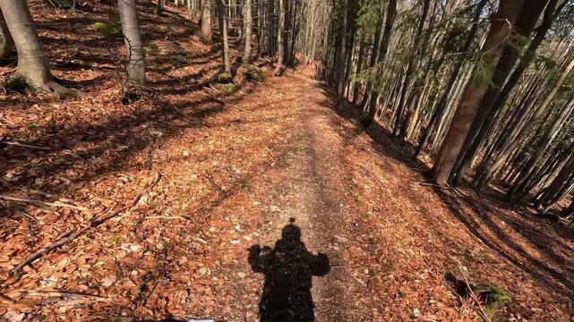 Slow Motion POV GoPro Mountain Biking Downhill Forest Singletrack in Autumn
