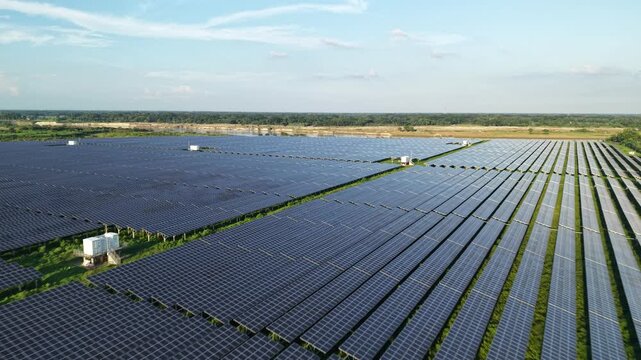 Aerial View of Vast Solar Panel Farm With Long Rows of Photovoltaic Panels, Green Vegetation, and Renewable Energy Landscape