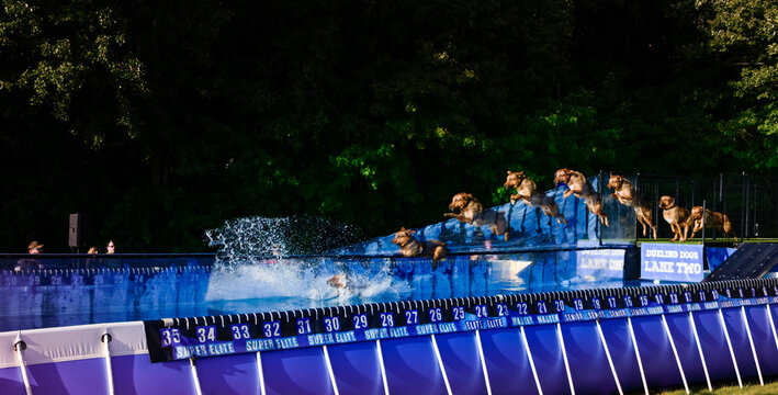 Composite of a dog dock diving in a competition