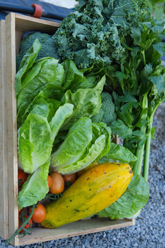 Wooden produce crate sitting on grey gravel outside holding romaine kale broccoli celery papaya