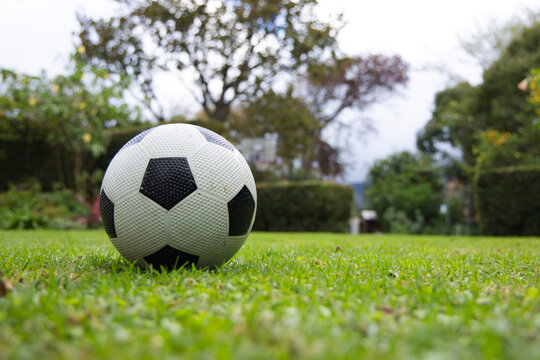 Soccer ball is sitting on trimmed green lawn at ground level, hedges and house blurred