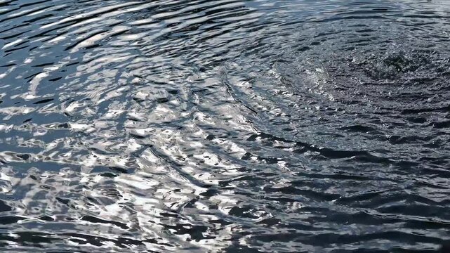 水面に広がる波紋と揺らぐ光