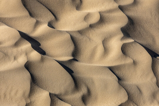View of the sand dunes at Rubjerg Knude with intricate wind-blown ripples and soft shadows in Lokken, Jutland, Denmark.