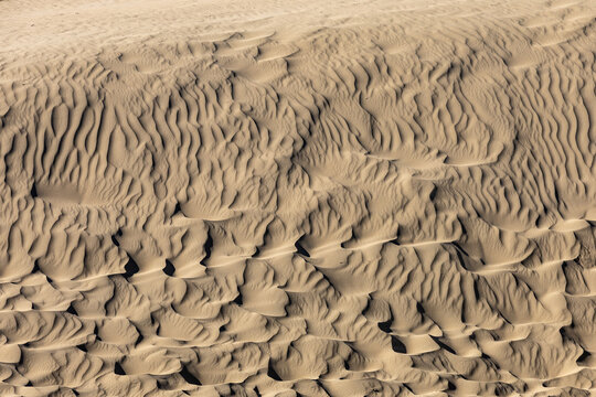 View of the intricate ripple patterns on the sand dunes at Rubjerg Knude in Lokken, Jutland, Denmark.