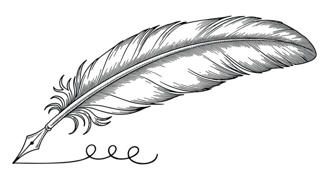 Vintage antique quill feather pen illustration with a metal nib creating a handwritten scribble on paper surface