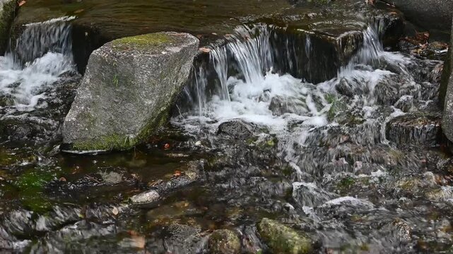 苔むした岩の間を流れる清流