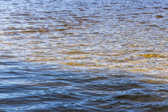 Sunlit ripples on a calm water surface create golden highlights and soft blue waves, forming a peaceful abstract background ideal for nature, relaxation, travel, environmental and design projects