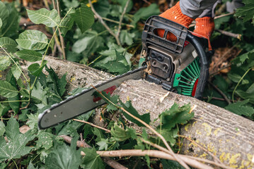 Cutting up fallen tree in forest with chainsaw for clearing and removal following storm or fall. © Todayphoto