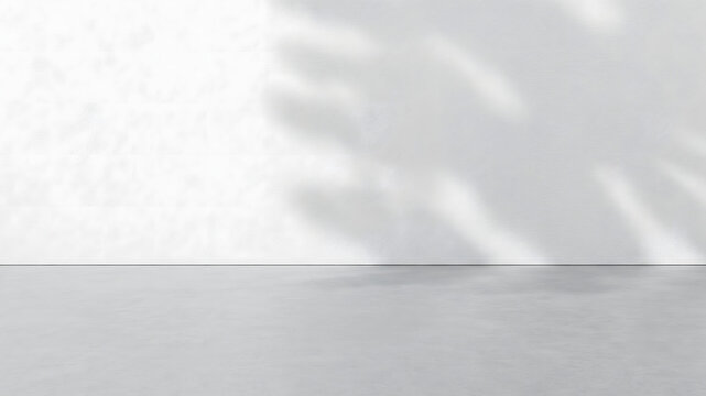 Minimal white wall and surface with soft botanical leaf shadows
