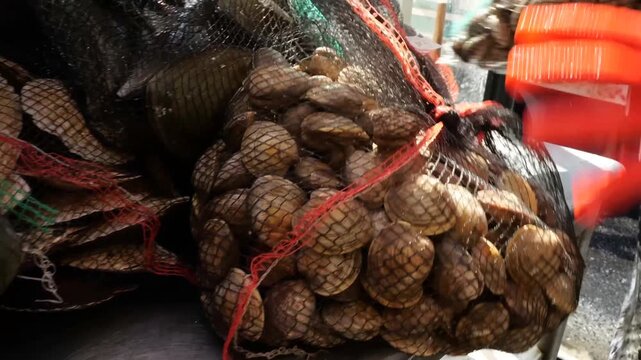 Seafood preparation workflow displaying fresh shellfish packed tightly inside mesh bags placed neatly on metallic tables before transfer into large commercial water tanks for optimal storage managemen