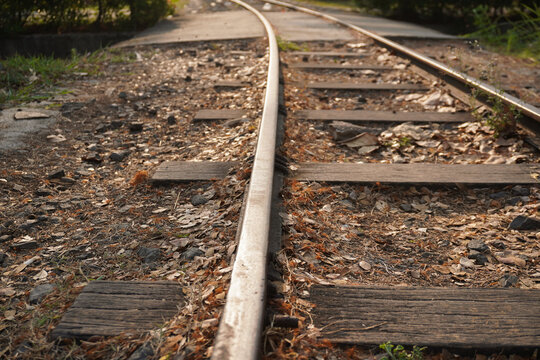 Close-up perspective of a curved railway track with fallen leaves on the ground.