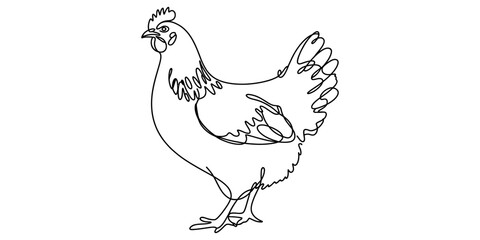 Fototapeta premium A single line drawing of a chicken standing on white background for farm, agriculture, and country themes.