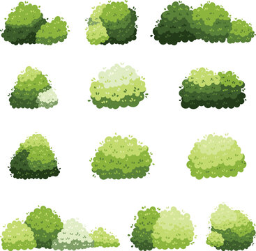 Cartoon bushes in varying shapes and greens