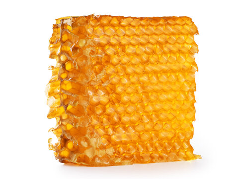 Piece of wax honeycomb filled with honey, isolated on white background.