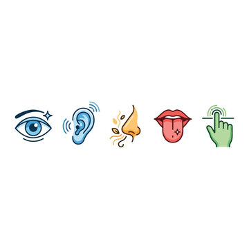 Five senses human icon set vector for sight hearing smell taste touch