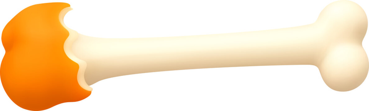 3d illustration of chicken bone with meat