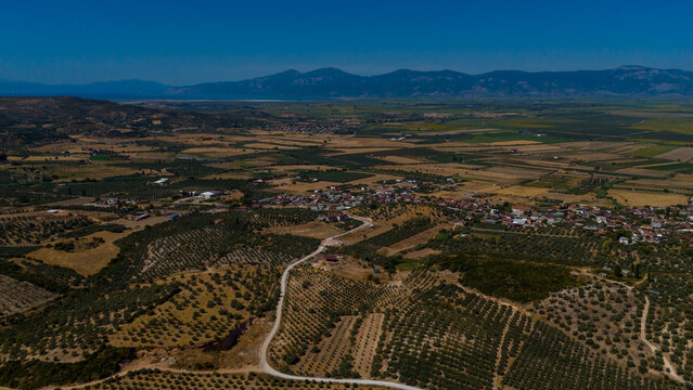 Aerial View of Olive Groves and Village in Aydin Valley Turkey
