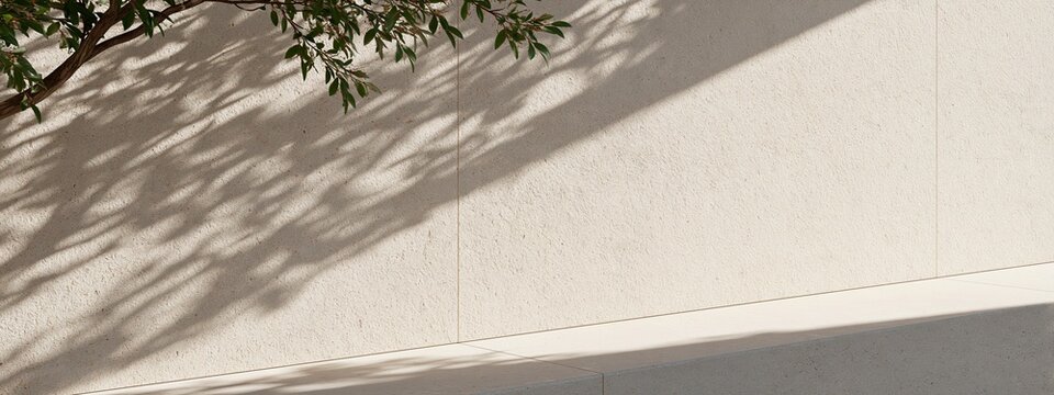 Minimalist beige wall backdrop with olive branch shadow for product display