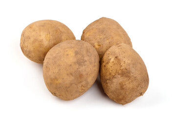 Fototapeta premium Fresh Russet Potatoes on a White Background