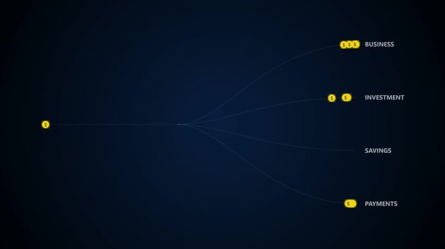 Cash flow diagram animation, coins branching into finance categories