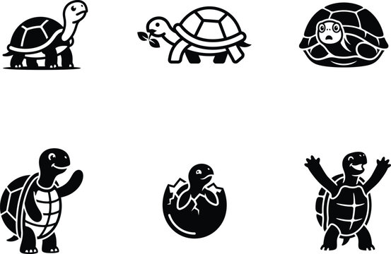 Cartoon tortoises displaying various expressive and playful poses with transparent background