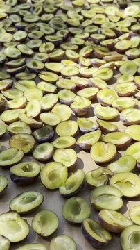 Traditional Method of Halving and Drying Juicy Angeleno Plums Outdoors