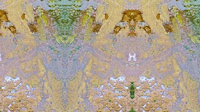 a symmetrical, digitally mirrored abstract photograph showing a natural water surface or wet ground with algae