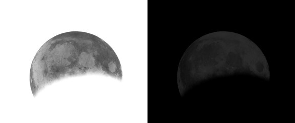 Realistic moon phase illustration set, detailed lunar surface with craters on black and white backgrounds, celestial astronomical design elements © Smart Studio