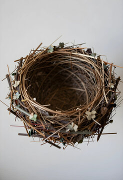 New beginnings and home security concept, empty bird nest made of twigs and branches for real estate investment or family growth and protection themes