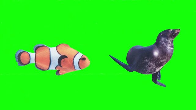 Marine Ichthyology and Underwater Life. Tropical swimming fish in ocean blue water, aquatic marine life, coral reef biodiversity and sea creatures