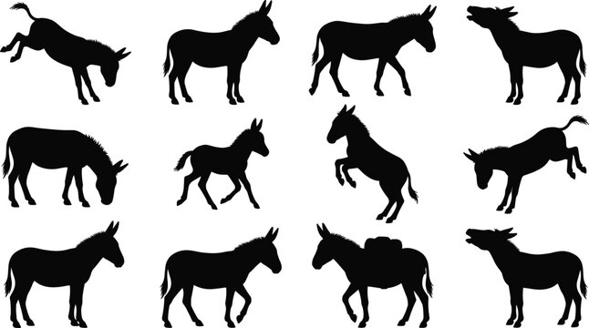 Donkey silhouette vector set featuring domestic mule burro animals jumping braying walking grazing and carrying pack on white background