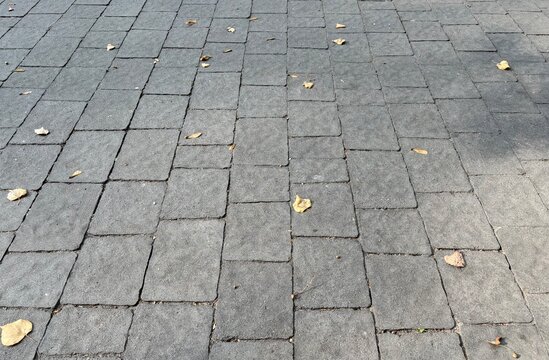 old stone floor, Perspective view of grey rectangular paving stone sidewalk covered with dry yellow autumn leaves. City street pavement texture for urban design.