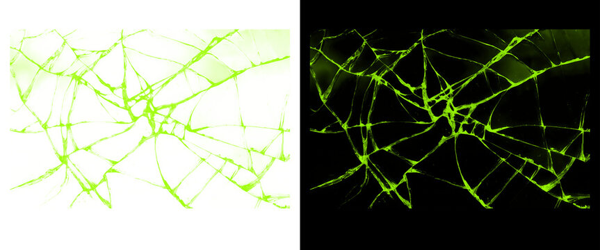 Neon green broken glass texture, shattered screen effect with glowing cracks, damaged digital display overlay on black and white backgrounds