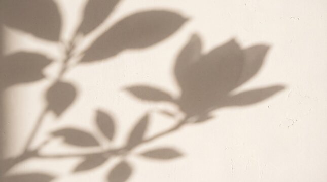 Magnolia Flower and Leaves Shadow on Beige Wall
