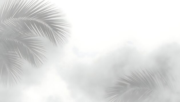 Soft misty background palm fronds semi transparent tropical minimalist calm atmosphere fog like composition