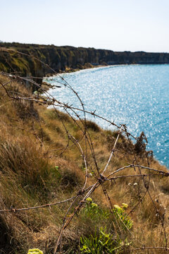 Grassy cliffs overlook the English Channel with barbed wire in the foreground in the Normandy region of France.