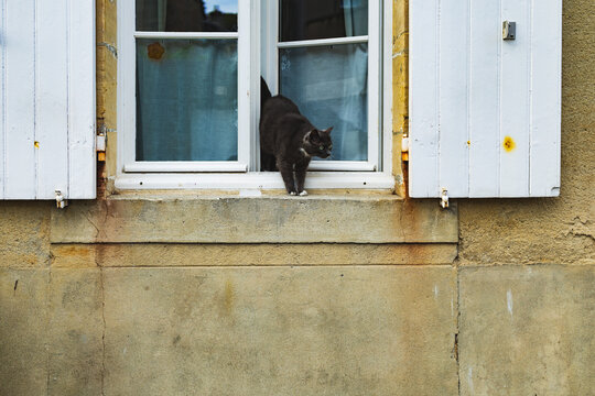 A black cat creeps through an open window in the streets of Bayeux in the Normandy region of France