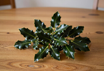 Obraz premium Christmas holiday decoration, fresh holly leaves on a wooden table for winter seasonal celebration and festive home interior design with natural greenery