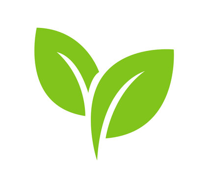 Green leaves isolated on transparent background cutout vector illustration