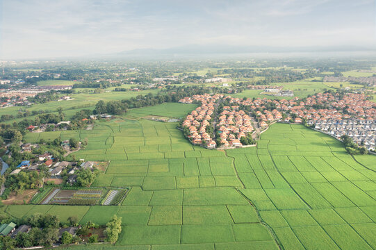 Aerial view of green farmland and housing development in San Sai, Chiang Mai, Thailand, featuring rice fields, residential community, suburban expansion, real estate investment, property development.